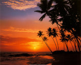 Buy Maldive Evening at AllPosters.com