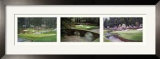 Augusta Challenge