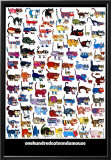 100 Cats and a Mouse