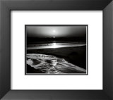 Buy Birds on a Beach at AllPosters.com