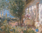 Shaded Corner of the Garden