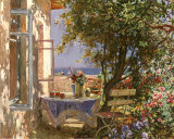 Shady Patio
