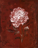 Buy Asian Peony II at AllPosters.com
