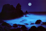 Buy California Coast at AllPosters.com