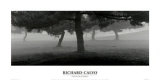 Trees in the Fog