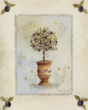 Plum Topiary