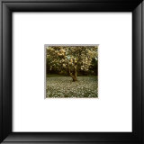 Magnolia (1999)