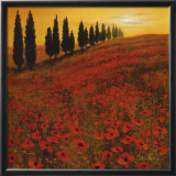 Buy Poppies at AllPosters.com