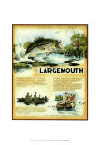 Buy Mouth at AllPosters.com
