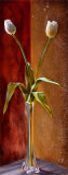 Buy Grosseto at AllPosters.com