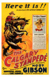 Buy The Calgary Stampede at AllPosters.com