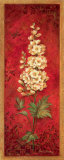 Delphinium