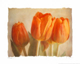 Buy Bellezza I at AllPosters.com