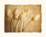 Buy Aria II at AllPosters.com
