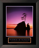 Buy Persistence: Sunset at AllPosters.com
