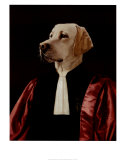 The Advocate