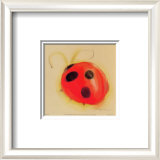 Ladybug