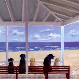 Dogs Eyeview