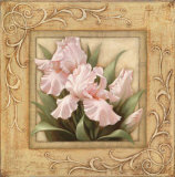 Buy Pretty in Pink Irises at AllPosters.com