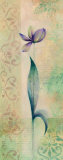 Stencil Iris II