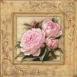 Buy Pretty in Pink Peonies at AllPosters.com