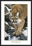 Buy Silent Approach at AllPosters.com