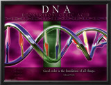 Buy DNA at AllPosters.com