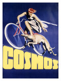 Cosmos Greyhound Bicycle