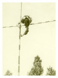 Buy Track and Field, Pole Vault at AllPosters.com
