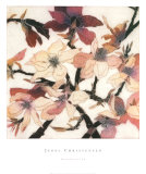 Buy Magnolias XX at AllPosters.com