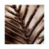 Buy Abstraction at AllPosters.com
