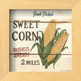 Fresh Picked Sweet Corn