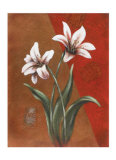 Buy Diagonal Study II at AllPosters.com