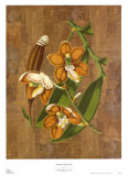 Buy Sumatra Orchids II at AllPosters.com