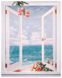 Open Shutters