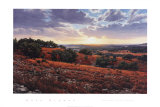 Buy Smithson Valley Sunset at AllPosters.com