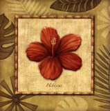 Paradisio II
