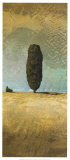 Buy Sandy Crest at AllPosters.com