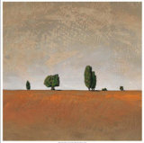 Buy Sienna Plains at AllPosters.com
