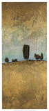 Buy Sandy Rise at AllPosters.com