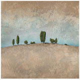 Buy Sandy Hill at AllPosters.com