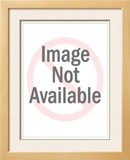 Buy Banff at AllPosters.com