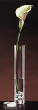 Calla Haiku