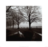 Buy After the Rain at AllPosters.com