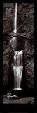Buy Cascading Falls at AllPosters.com