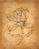 Buy Pencil Sketch Floral IV at AllPosters.com