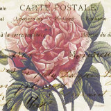 Buy Carte Postale Rose III at AllPosters.com