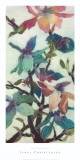 Magnolias XII
