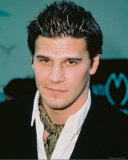 Buy David Boreanaz at AllPosters.com