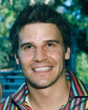 Buy David Boreanaz at AllPosters.com